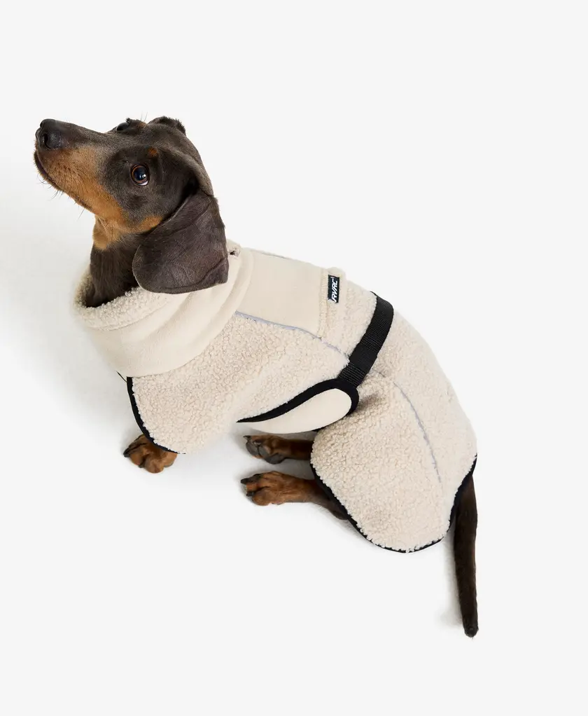 Bigfoot Dog Jacket Dog