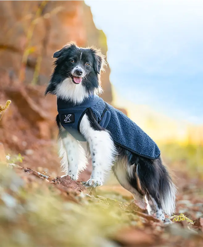 Bigfoot Dog Jacket Dog